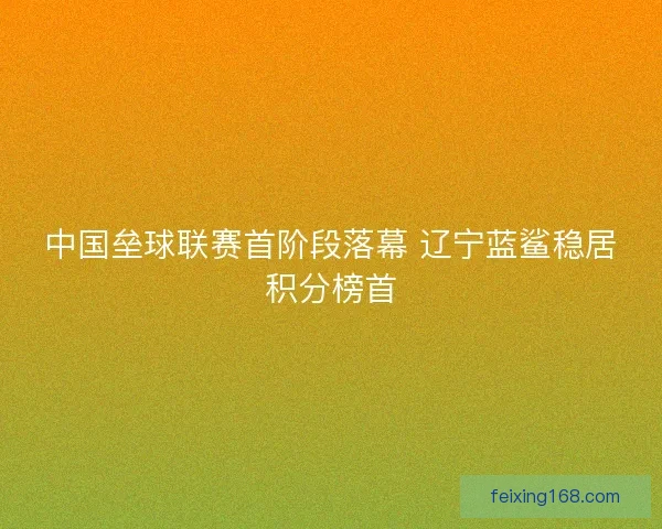 中国垒球联赛首阶段落幕 辽宁蓝鲨稳居积分榜首